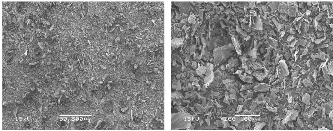 Scanning electron micrographs of peanut husk organic filler (R 200).