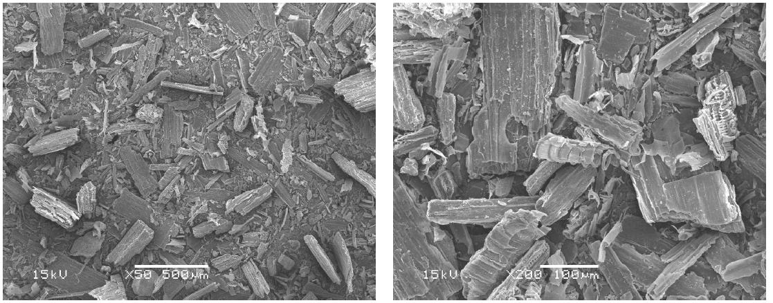 Scanning electron micrographs of garlic stem organic filler (R all).