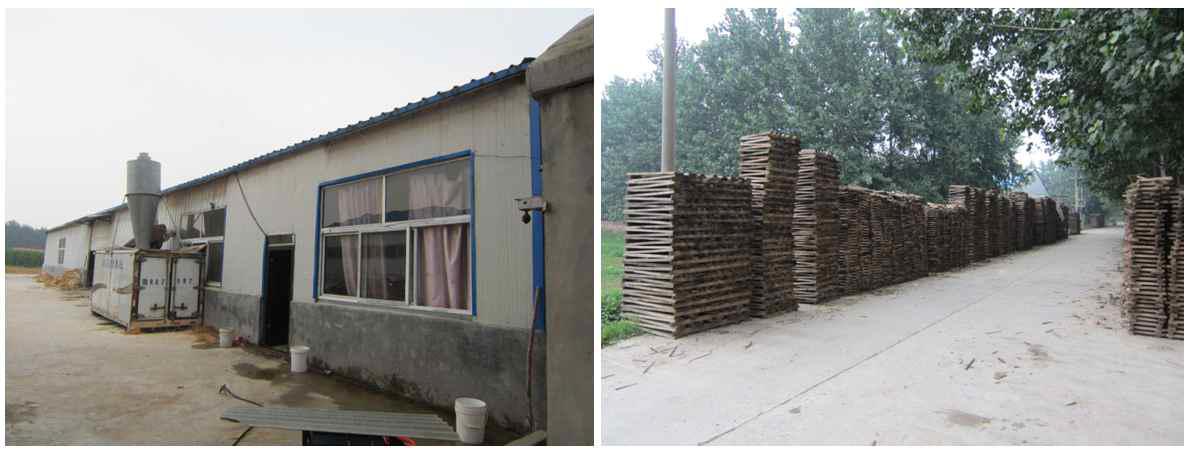 Subcontractor of CN-D (left) and air drying of Paulownia in the Subcontractor (right)