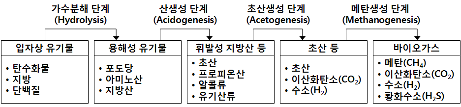 바이오가스 생산기작