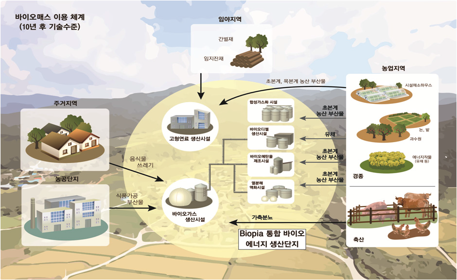 10년 후 기술수준 바이오매스 이용체계