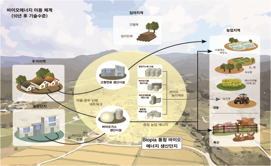 10년 후 기술수준 바이오에너지 이용체계