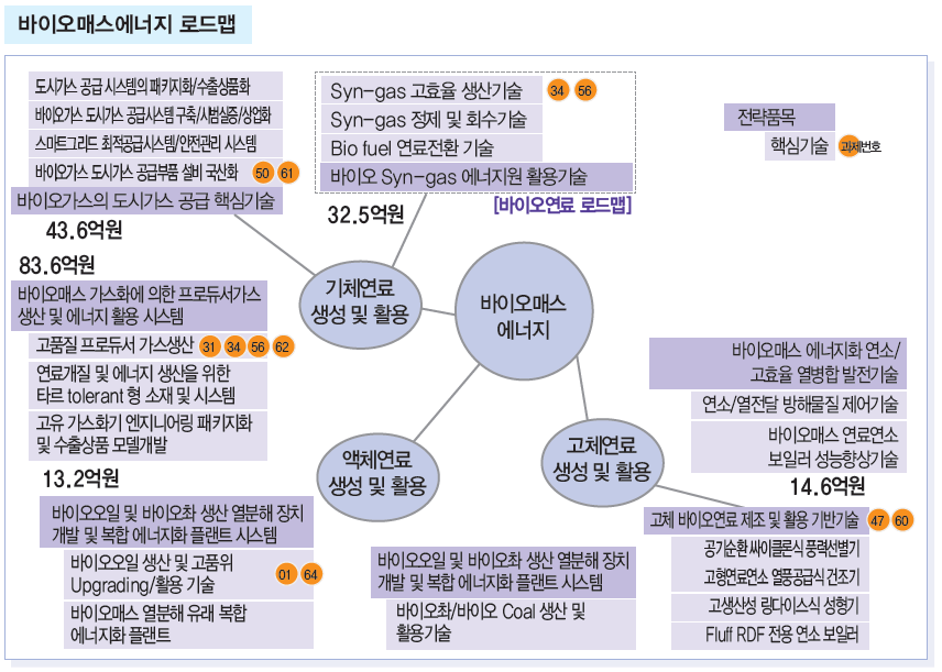 바이오매스에너지 로드맵