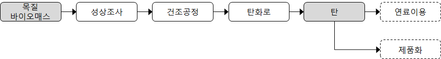 탄화 공정