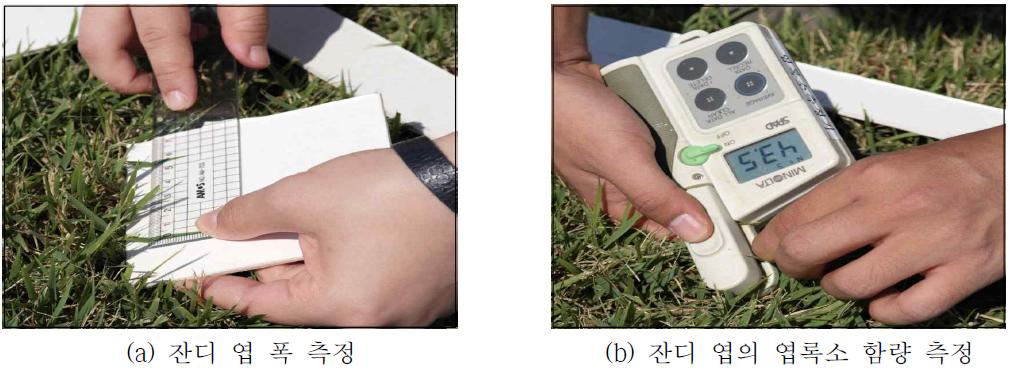영상 측정 지점의 잔디 엽 폭과 엽록소 함량 측정