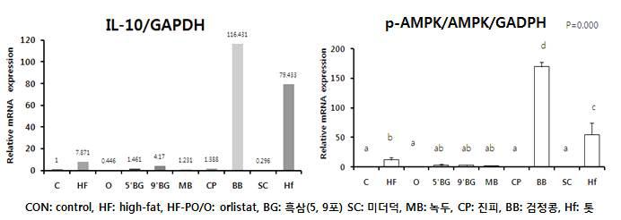 검정콩추출물의 항염증효과 및 AMPK발현 효과(RT-PCR 결과)