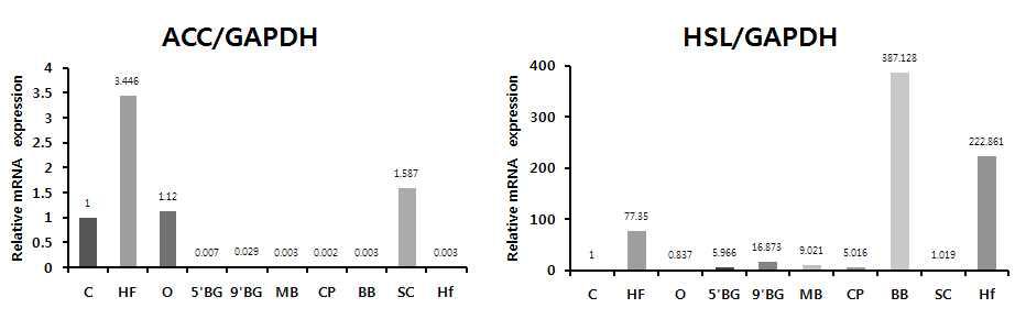 검정콩추출물의 지징합성(ACC) 및 지질분해(HSL)결과 (RT-PCR 결과)