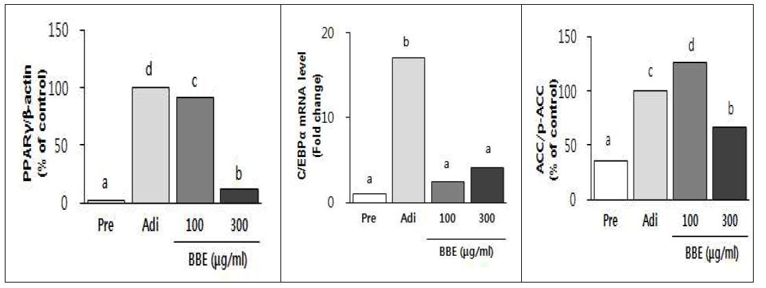 검정콩 껍질추출물, 표지물질인 C3G & D3G의 항비만기전분석 (in vitro)
