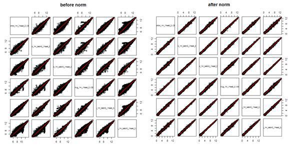 표준화 전 (좌측) 과 후 (우측) 의 데이터에 대한 scatter plot 결과