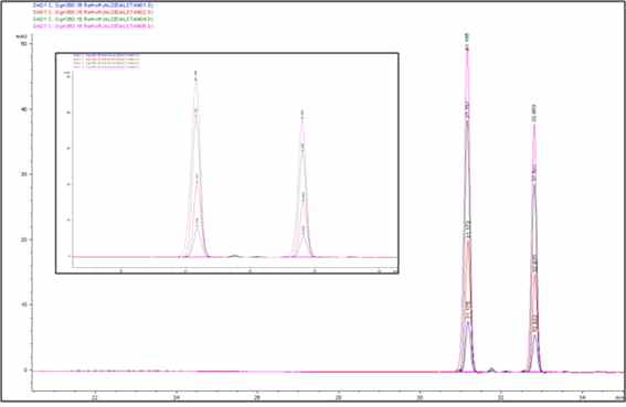 0.05~0.5㎎/ℓ 수준의 Quercetin 표준물질 chromatogram