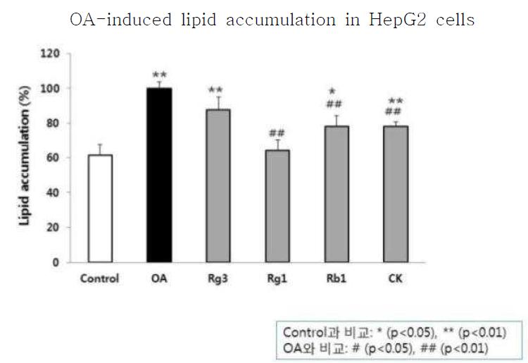 Oleic acid 유도 HepG2 세포내 지질축적에 대한 인삼 추출물의 영향
