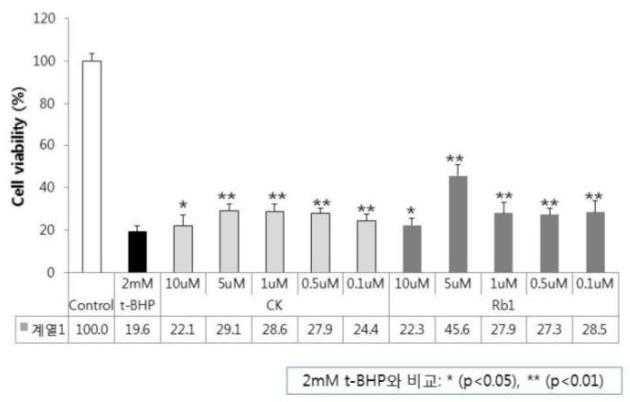 t-BHP 간세포 독성에 대한 인삼 추출물(CK, Rb1 강화물)의 농도별 보호 효과