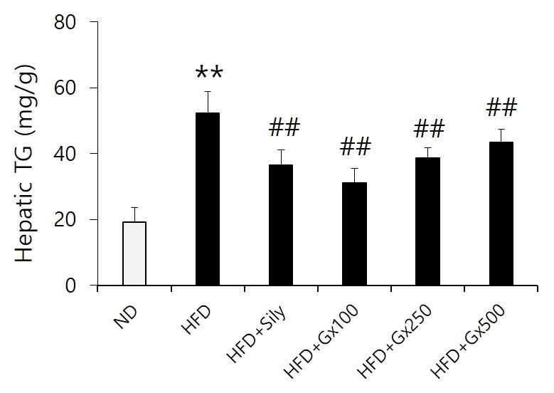 Compound K-fortified Ginseng concentrate (Gx) ameliorated HFD-induced triglycerides accumulation in mice.