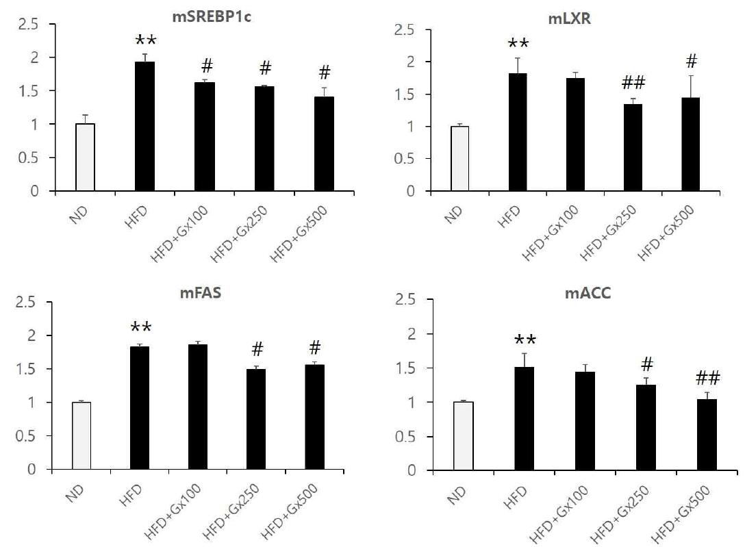 Effects of Compound K-fortified Ginseng concentrate (Gx) on lipogenic gene expression in the liver of HFD-fed mice.