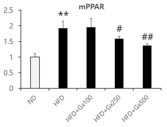 Effects of Compound K-fortified Ginseng concentrate (Gx) on PPARα gene expression in the liver of HFD-fed mice.