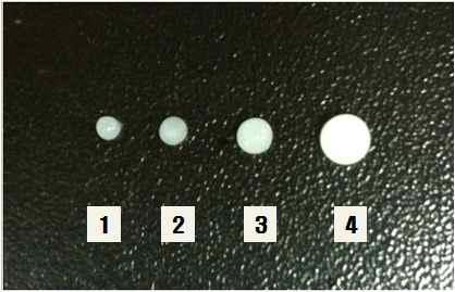 Photograph of different sizes of alginate beads