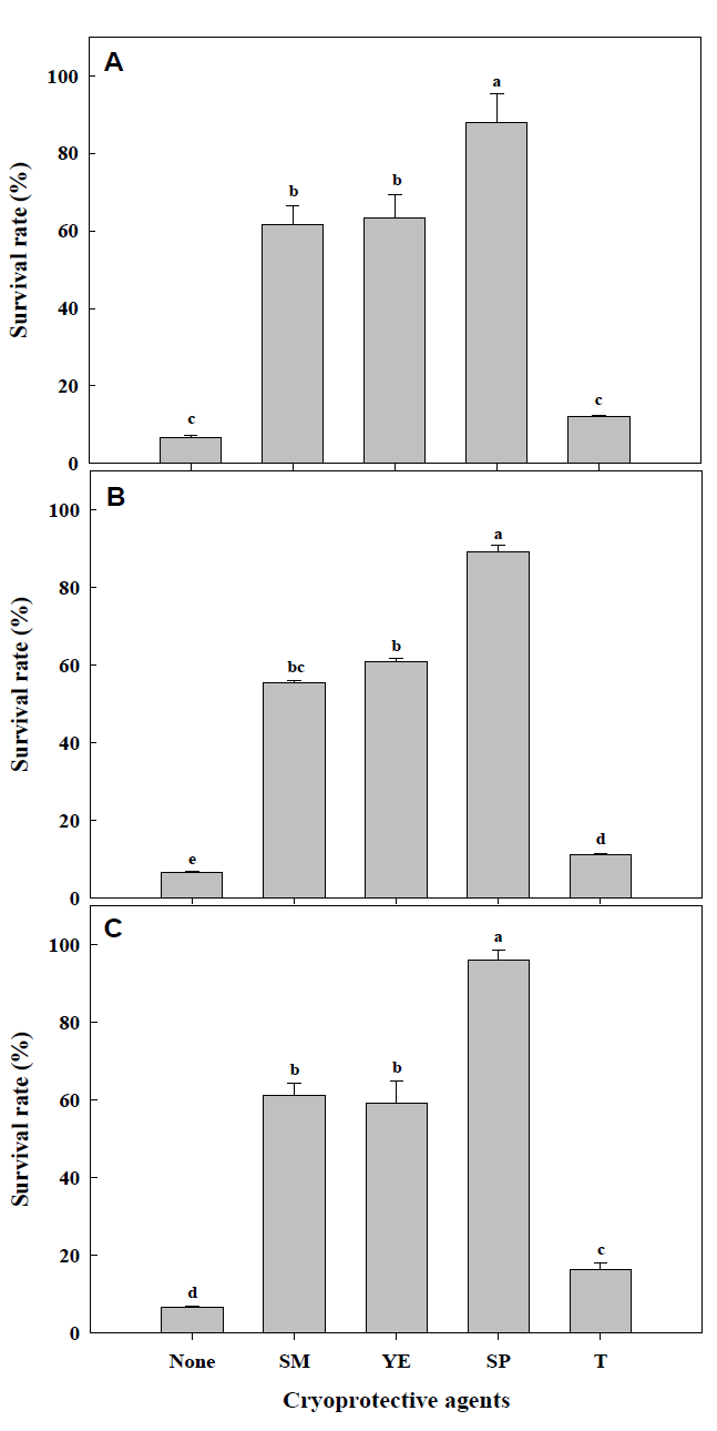 Survival rate of lactic acid bacteria (e.g.,W. cibaria (A), Lb. plantanum (B) and P. pentosaceus (C)) during freeze drying process, depending on cryoprotective agents. SM: Skim milk; YE: Yeast extract; SP: Soy powder; T: Trehalose