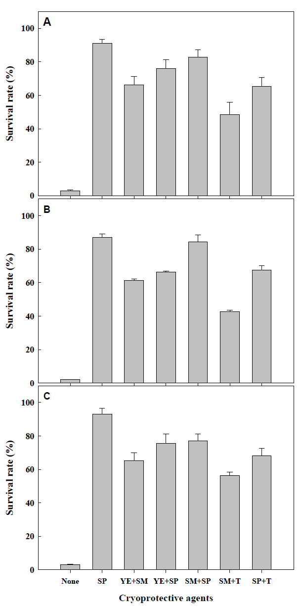 Survival rate of lactic acid bacteria (e.g., W. cibaria (A), Lb. plantarum (B), and P. pentosaceus (C)) during freeze drying process, depending on the combination of cryoprotective agents. SM: Skim milk; YE: Yeast extract; SP: Soy powder; T: Trehalose