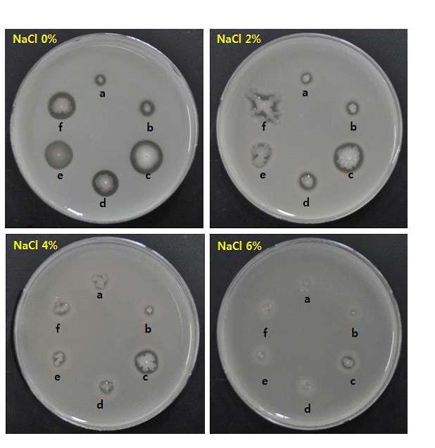 Effect of NaCl on the growth and protease activity of isolates from Ojingeo-jeotgal.