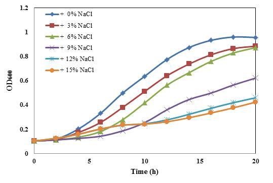 Growth of a Staphylococcus equorum isolate at different concentrations of NaCl.