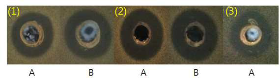 agar-well diffusion assay을 이용한 항균활성 측정