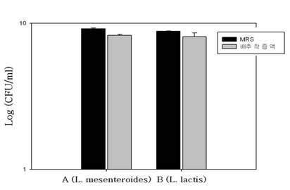 절임배추 착즙액과 MRS배지에서의 성장균수 측정 비교.