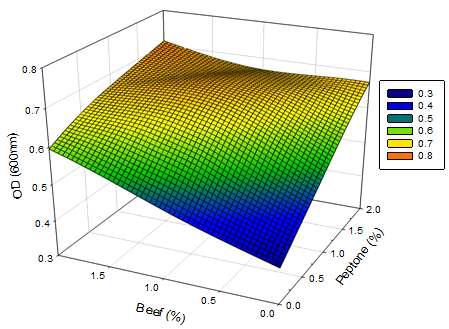 Peptone and beef extract의 농도별 Leu. mesenteroides의 OD(600nm)에서의 3D_표면반응분석
