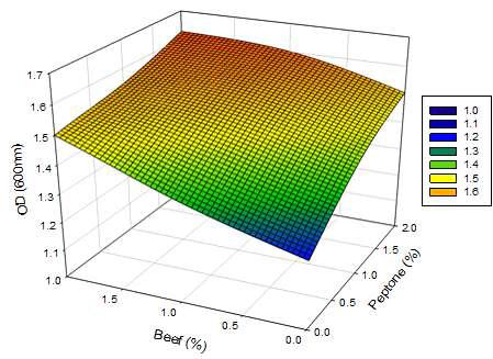 Peptone and yeast extract의 농도별 Lb. plantarum의 OD(600nm)에서의 3D_표면반응분석