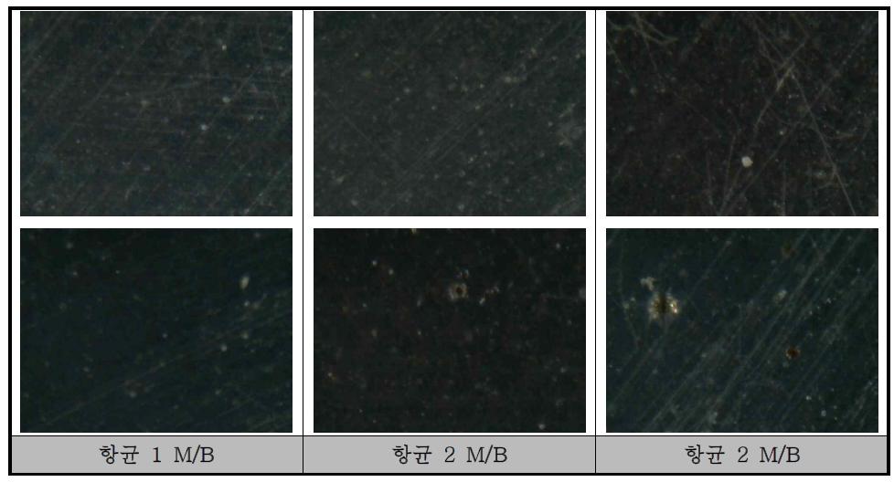 방충필름의 표면 형상 비교