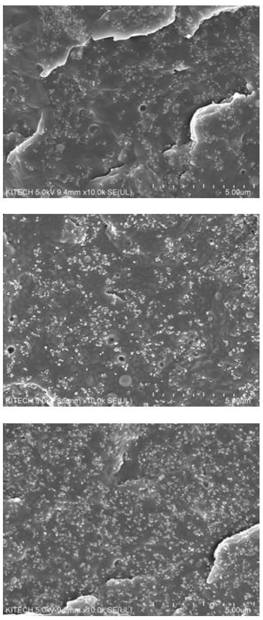 Sheet1, Sheet2, Sheet3에 대한 방충소재 분말의 분포도 SEM사진