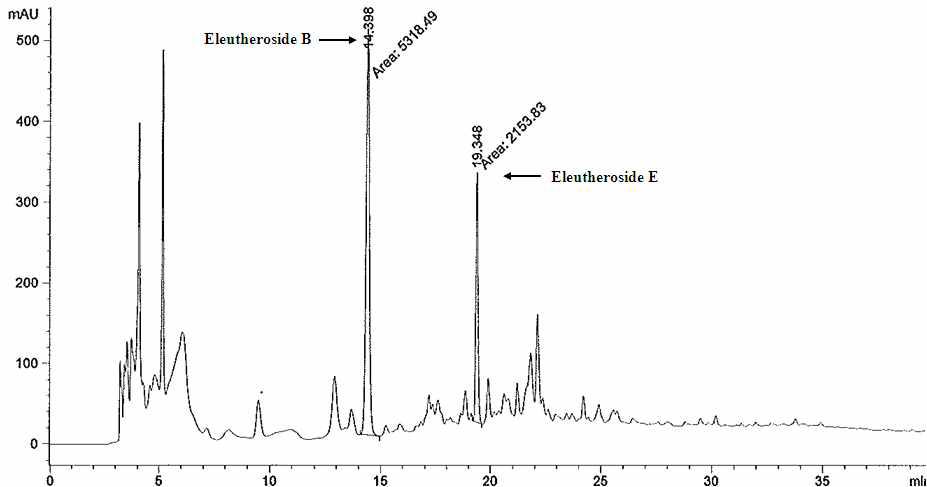 HPLC chromarogram of the extracts from stem and root of Acanthopanax koreanum.