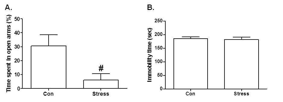 The effects of acute stress (1 day) in the elevated plus maze test (A) and forced swimming test (B) in mice. #P < 0.05 versus control group.