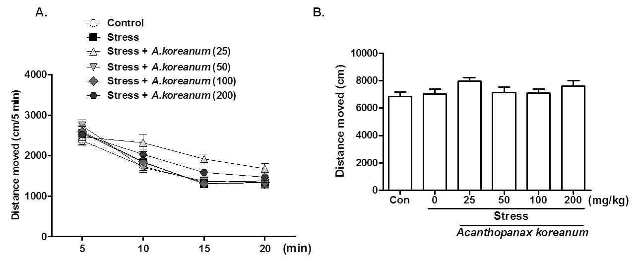 The effects of chronic administration of Acanthopanax koreanum in the open field test in stress mice model