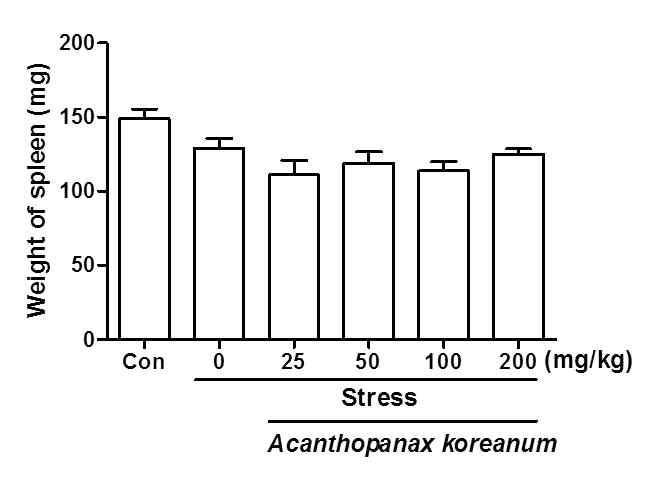 The effects of chronic administration of Acanthopanax koreanum on the weight of spleen (mg) in stress mice model.