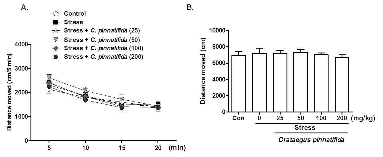 The effects of chronic administration of Crataegus pinnatifida in the open field test in stress mice model.