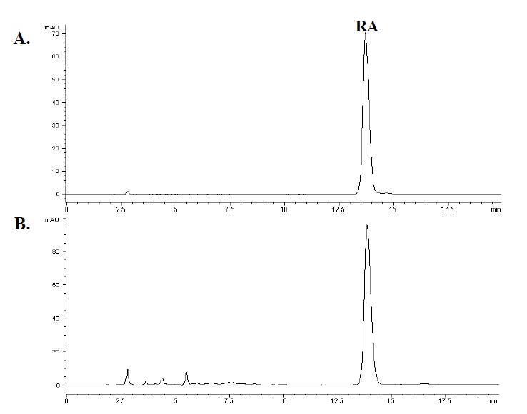 HPLC chromarogram of Rosmarinic acid (A, RA) and Prunella vulgaris L extract (B).