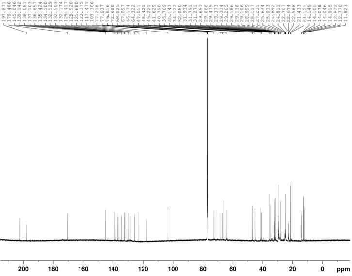 13C-NMR spectrum of compound 17