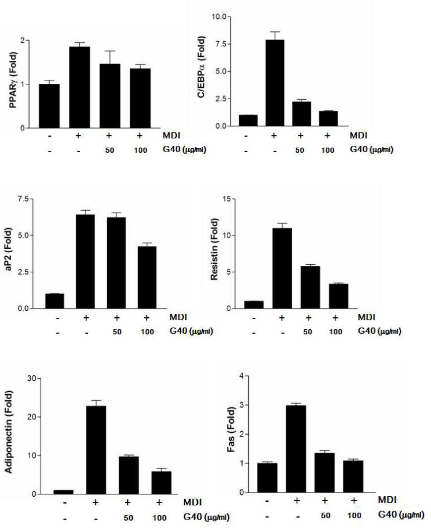 The effects of extracts of Sargassum muticum (Yendo) Fensholt on PPARr, C/EBPα, adipokine mRNA expression in differentiated 3T3-L1 cells