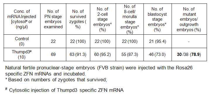 ZFNs-mediated Thmpd3 disruption in mouse embryos.