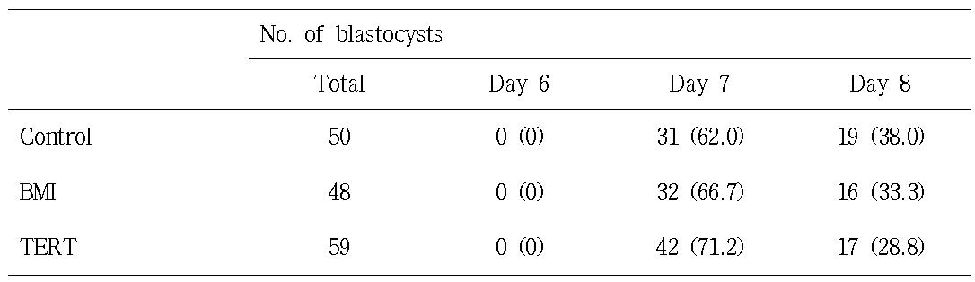 Comparison of time to develop to the blastocyst according to donor cell types in the bovine somatic cell nuclear transfer embryos