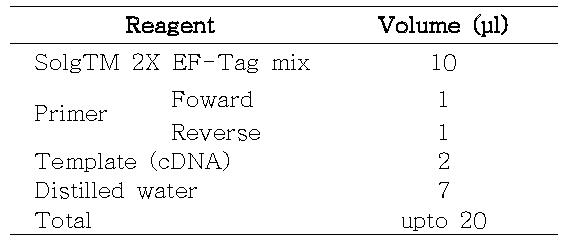 RT-PCR mixture의 조성