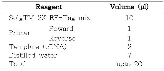 RT-PCR mixture의 조성