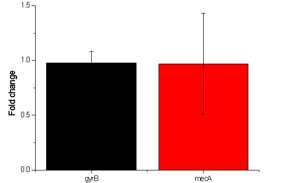 Pjyh-cmk1 and Pjyh-deoD1처리에 따른 mRNA expression level의 상대적 변화