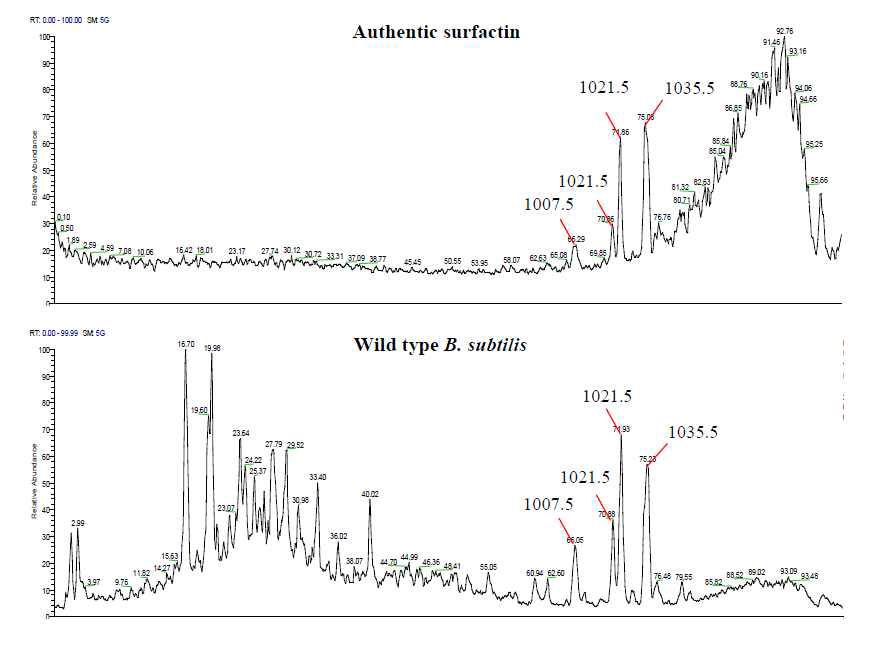 HPLC spectra and molecular weights of surfactin peaks obtained with authentic surfactin and wild-type B. subtilis subsp. krictiensis ATCC55079.