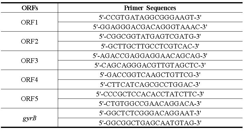 Primer sequences used in real-time PCR analysis