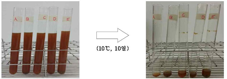 보조제 처리에 따른 참외 불량과 당액의 침전 특성 A : 무처리, B : Bentonite 1.0%, C : Gelatin 1.0%, D : Bentonite 0.5% + Gelatin 0.5%, E : Bentonite 1.0% + Gelatin 1.0%