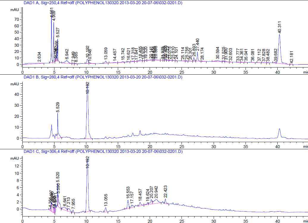 오미자추출물의 폴리페놀류 HPLC분석