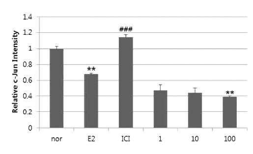 Effects of BMO-30 Extract on c-Jun expression