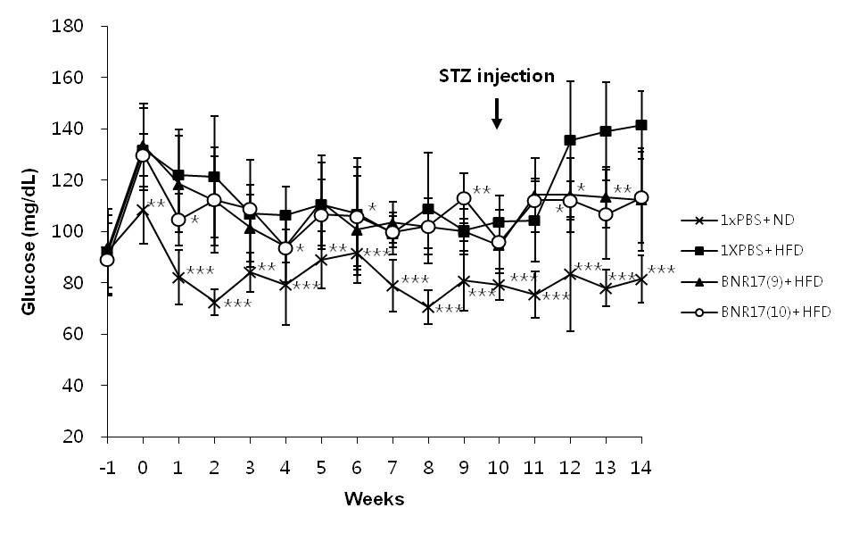 Effect of Lb. gassseri BNR17 supplementation on fasting blood glucose of high-fat diet/STZ-induced diabetic mice. C57BL/6J mice were administered with ND, HSD or HSD containing Lb. gasseri BNR17 (109 CFU or 1010 CFU) for 10 weeks and treated with STZ. Data are means ± SD. * P < 0.05, ** P < 0.01, *** P < 0.001 versus HSD group.