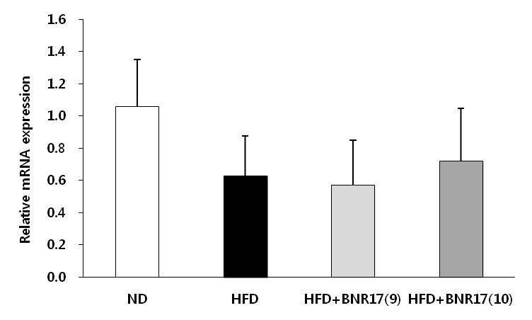 Effect of Lb. gassseri BNR17 supplementation on GLUT4 mRNA expression of high-fat diet/STZ-induced diabetic mice. C57BL/6J mice were administered with ND, HSD or HSD containing Lb. gasseri BNR17 (109 CFU or 1010 CFU) for 10 weeks and treated with STZ. Data are means ± SD. *P < 0.05,**P < 0.01,***P < 0.001 versus HSD group.